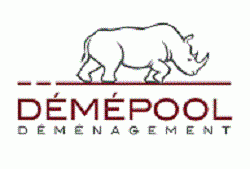 DEMEPOOL DISTRIBUTION SA logo